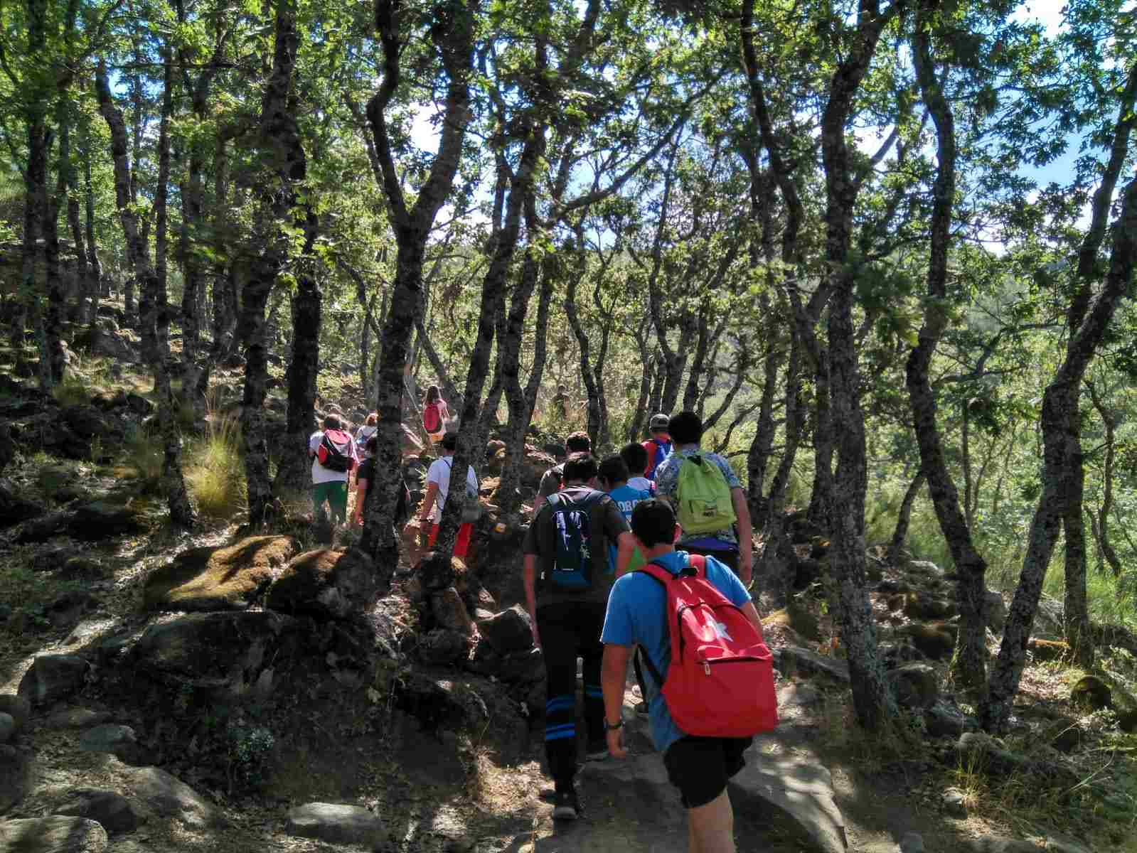 Excursión al Valle del Jerte